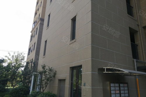 神州通城西印象 優點、不足與周邊房產中介經紀人評價分析